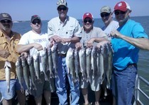 Big Walleye Fishing