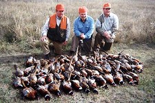 Pheasant Hunt